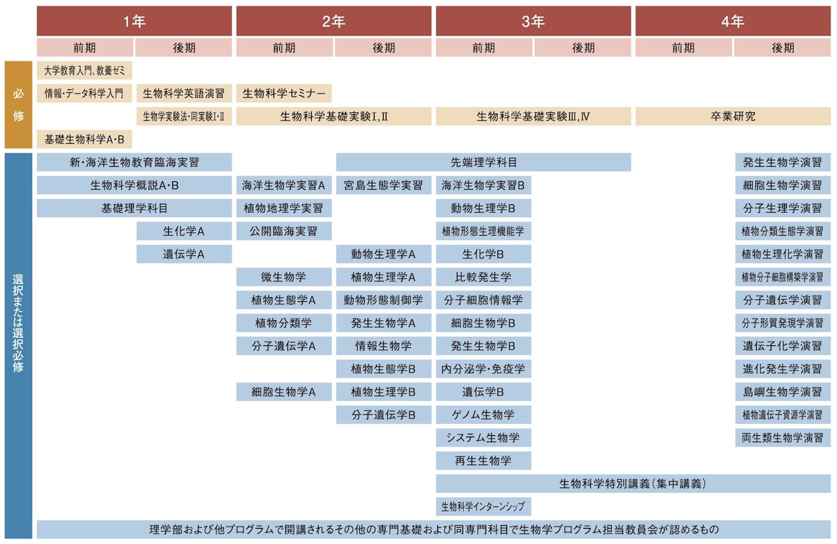 2024curriculum.jpg