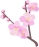 sakura2.jpg(2364 byte)