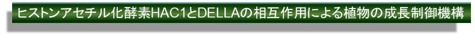 title_6.jpg(71650 byte)