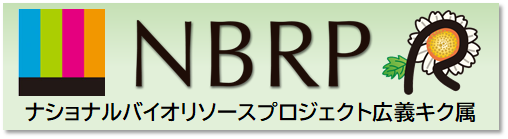 NBRPkiku