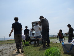 田植え終了