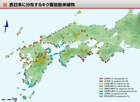 葉の老化